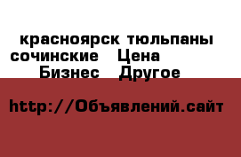 красноярск тюльпаны сочинские › Цена ­ 25-40 -  Бизнес » Другое   